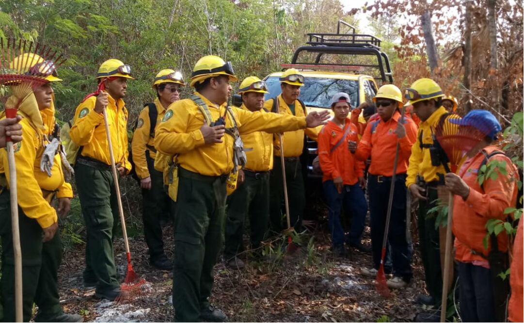 Foto: Tomada de la cuenta de Twitter @CONAFOR