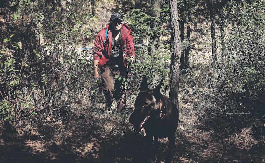 El padre de Milton Mejía busca entre los matorrales, guiado por la perrita Osa, a su hijo desaparecido el pasado 2 de abril. Foto: Gabriel Pano/ EL UNIVERSAL