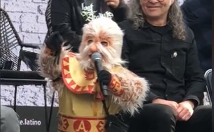 VIDEO: El luchador Alushe presumirá su talento de beatbox en el Vive Latino