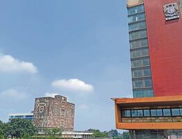 Trabajadores de la UNAM van a prisión por homicidio calificado; aficionado de Cruz Azul murió por asfixia por estrangulamiento