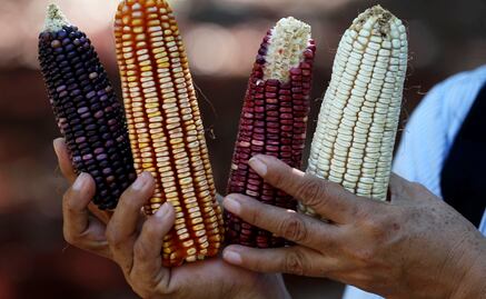 7 health benefits of eating corn