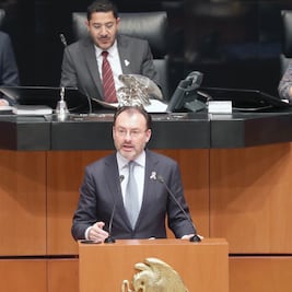 Reprochan a Videgaray por Trump