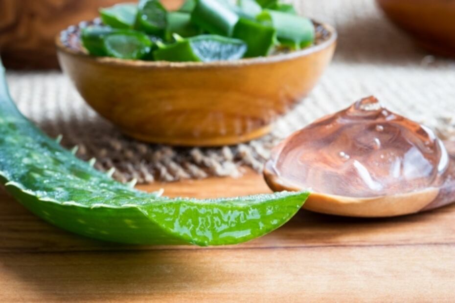 Propiedades del Aloe Vera