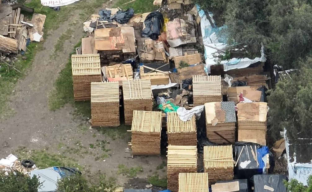 SSC incauta madera presuntamente obtenida de la tala ilegal en Tlalpan. Foto: especial