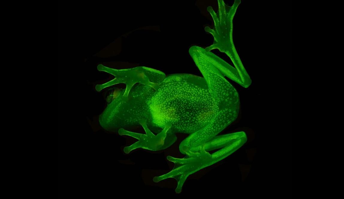 Foto: El Universal, archivo