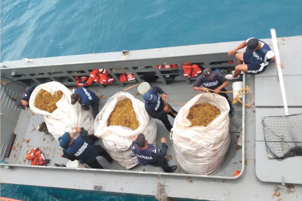Logro s. Se han recolectado más de 78 mil toneladas de sargazo de mayo a septiembre en Quintana Roo, dice Semar. Foto/ARCHIVO EL UNIVERSAL