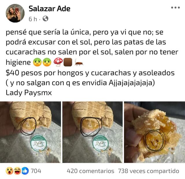 Usuarios arremeten contra “Lady Pays”. Foto: Redes sociales