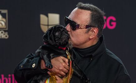 "Gordo", el perrito Aguilar que roba corazones