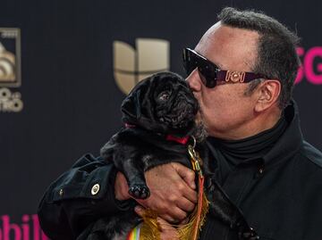 "Gordo", el perrito Aguilar que roba corazones