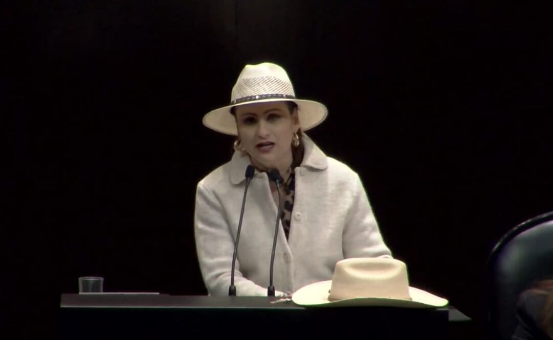 Diputada Guadalupe Araceli Mendoza Arias, integrante del Movimiento del Sombrero. Foto: Víctor Gamboa / EL UNIVERSAL