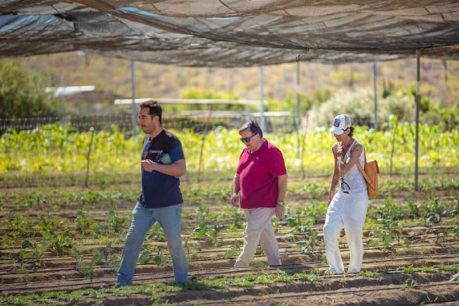 Dominique Crenn cocinará en Los Cabos
