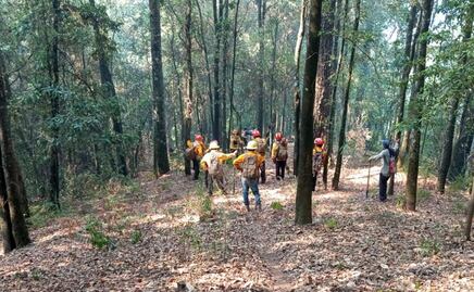 Incendios forestales dejan daños por 102 hectáreas en Morelos