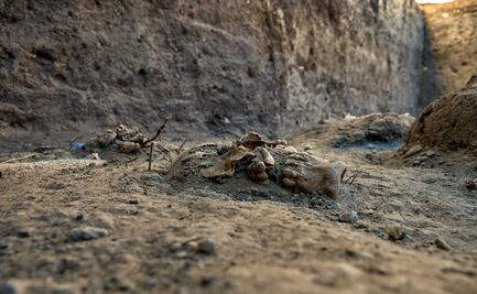 INAH: Encuentran cementerio virreinal en Chapultepec