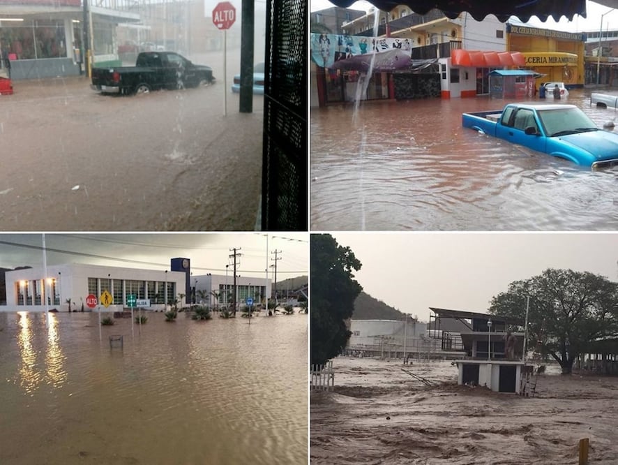 (Fotos: Amalia Escobar)