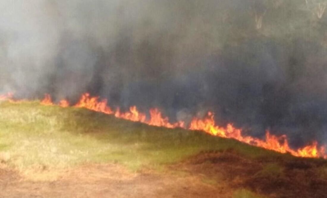 Fire reignites in Yucatán nature reserve | El Universal