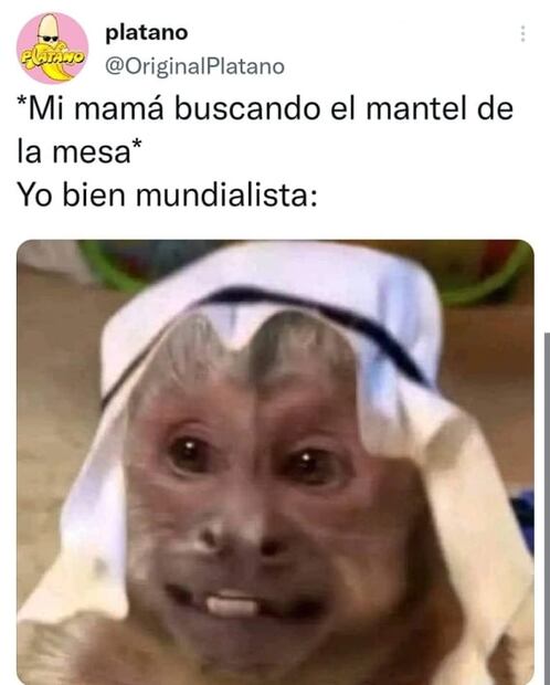 Qatar 2022: Los memes que dejó el primer día del Mundial