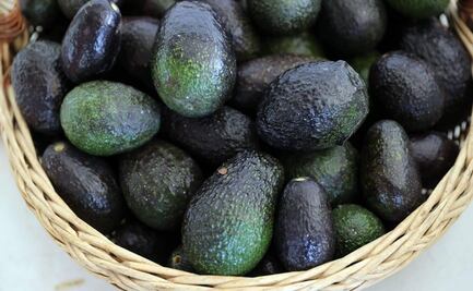 La impresionante cifra de aguacate que exportarán para el Super Bowl; así lo informó la Apeam