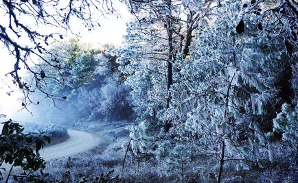 Heladas "paralizan" Sierra de Oaxaca  