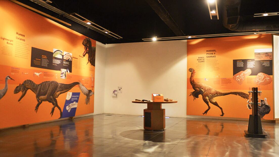 Dinosaurios entre nosotros. Foto: UNAM