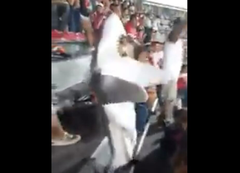 Veracruz en búsqueda de un pequeño tiburón