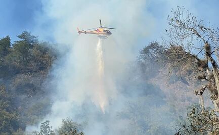 Tras intensas jornadas logran controlar incendio forestal en Nuevo León