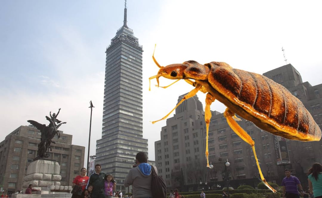 Foto: Archivo Cuartoscuto/El Universal