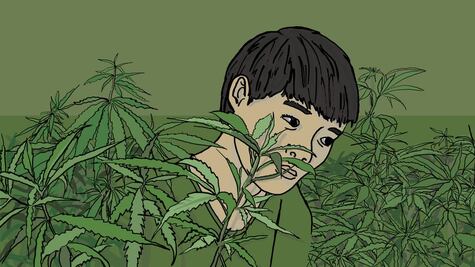 La historia del niño indigente de Vietnam que se convirtió en esclavo en granja de marihuana en Reino Unido