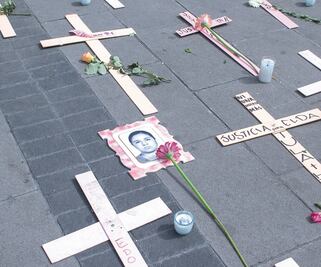 Propone Partido Verde pena de muerte ante delito