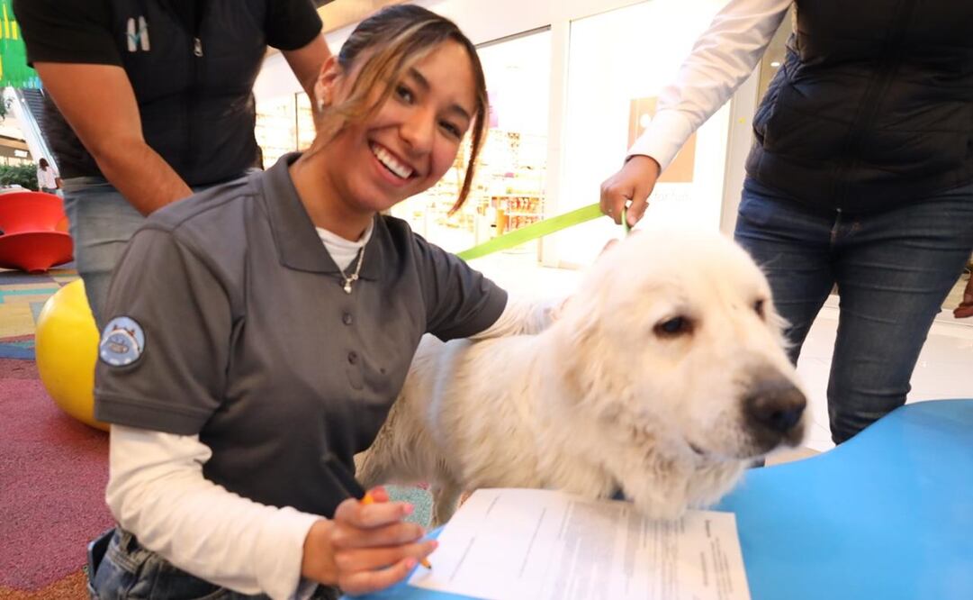 Centro de Atención y Protección Animal "Huixquican". Foto: Especial