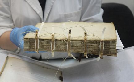 Diagnostican eventual restauración de 13 dibujos de Da Vinci