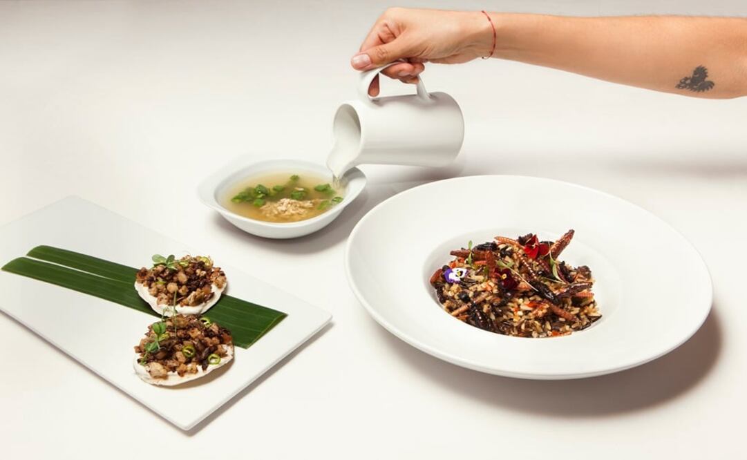 Foto: Especial El Universal