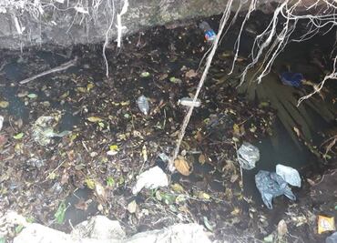 Denuncian contaminación de más de mil 400 cenotes de Yucatán con heces fecales y químicos