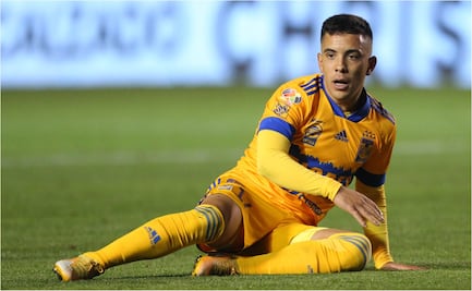 Leo Fernández se irá pronto de los Tigres