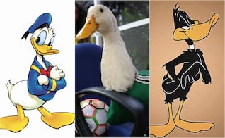 Antes de Merlín, el pato mundialista, estos personajes se ganaron un lugar en la cultura popular