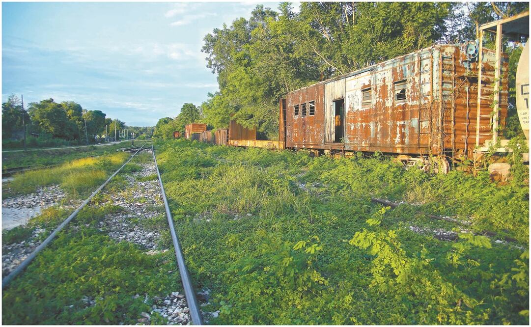 Foto: Archivo / EL UNIVERSAL