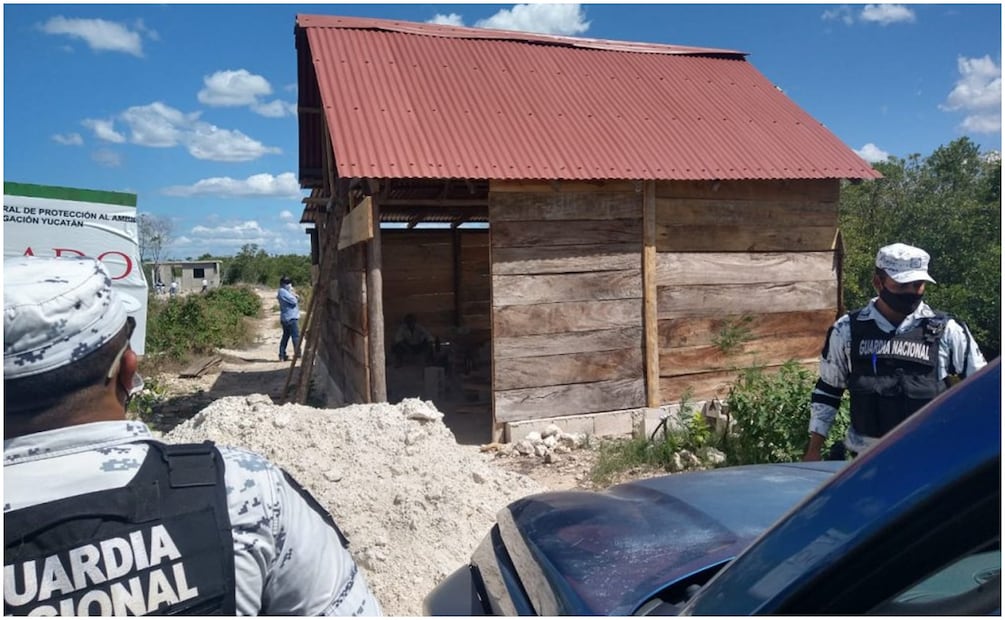 Profepa clausura zona donde se rellenaron humedales y talado vegetación del manglar en Yucatán. Foto: Especial