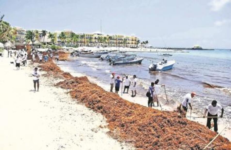 El Foco. Grandes ventas en tiendas de lujo con la maestra Elba Esther  