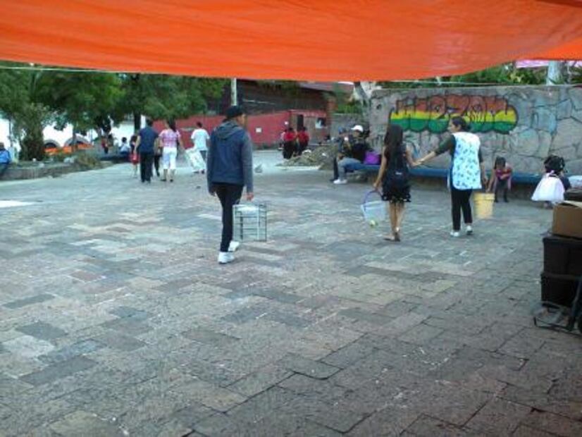 Gelatineros ambulantes, el oficio tradicional que se hereda 