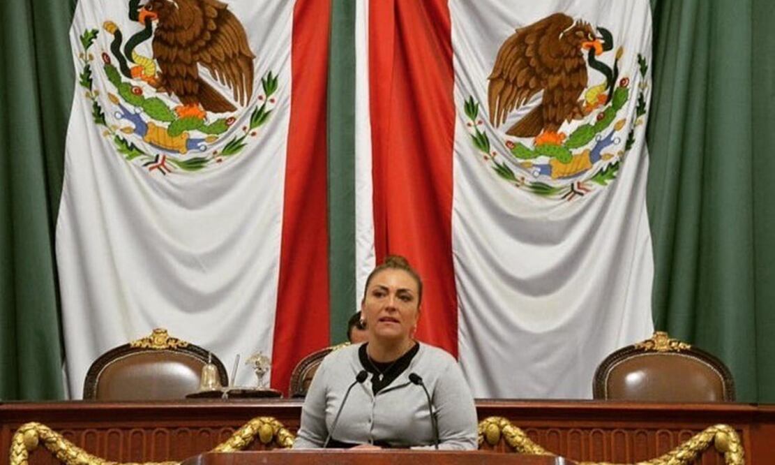 La diputada local del PRD Polimnia Romana Sierra presentó la iniciativa. FOTO: Especial/EL UNIVERSAL/