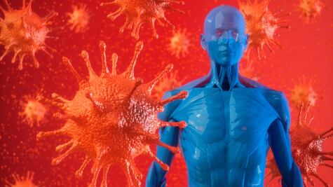 ¿Cómo funciona nuestro sistema inmunológico contra el coronavirus?