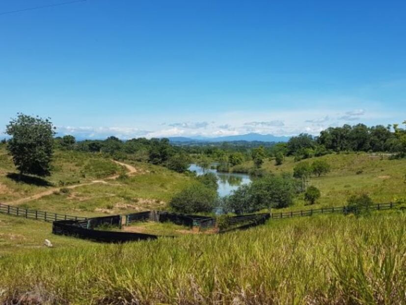 Hipopótamos de Pablo Escobar, un riesgo para la población: autoridades