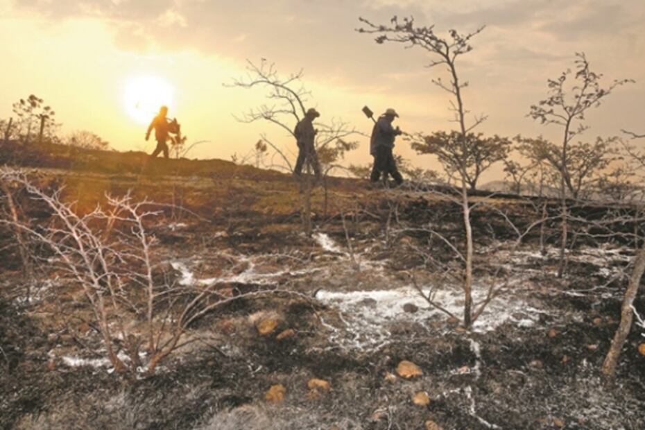 El Foco. Batalla de tuits entre Brozo, los youtubers y el monero
