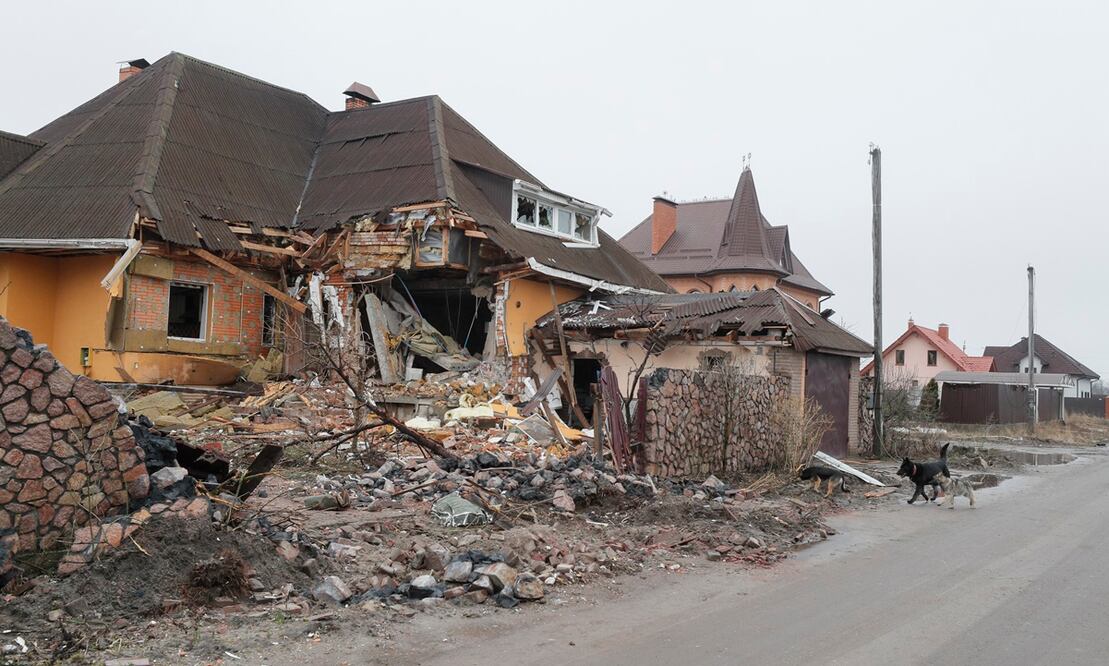 Casas dañadas en el pueblo de Dmitrivka cerca de Kiev. Foto: EFE