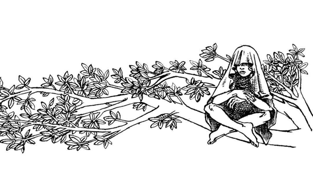 Votar por nuestros saqueadores