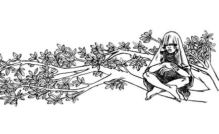 Votar por nuestros saqueadores