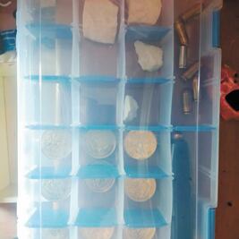 Identifican a sujetos que tenían nueve centenarios