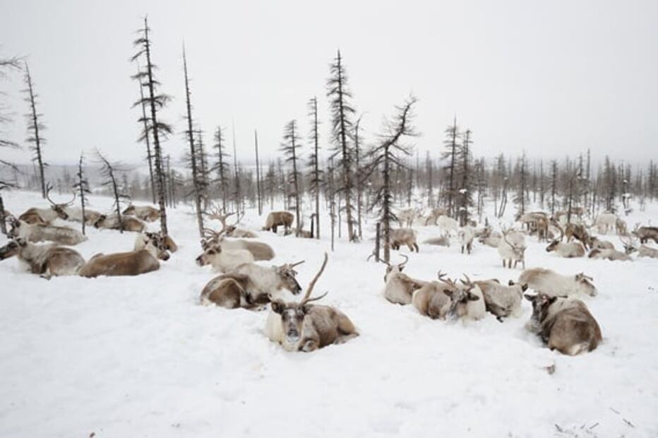 Así se vive en la ciudad más fría del mundo
