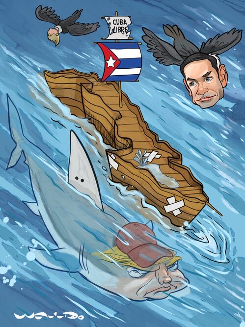 Cartón de WALDO