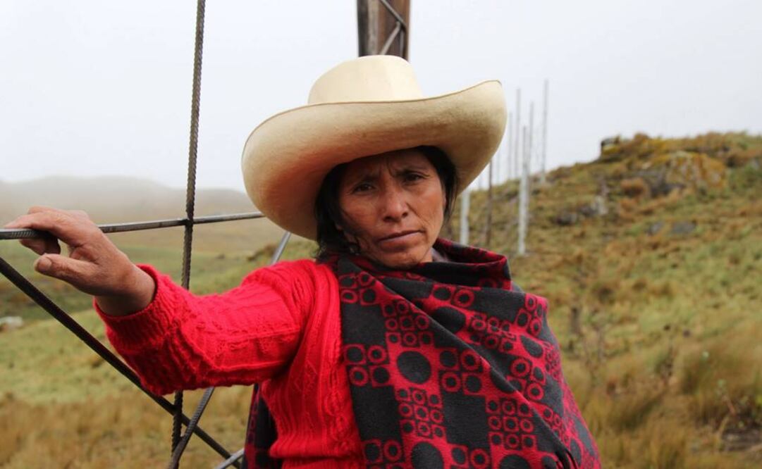 Los premios Goldman reconocen anualmente a quienes realizan una importante labor para proteger y mejorar el ambiente natural. Foto: Goldman