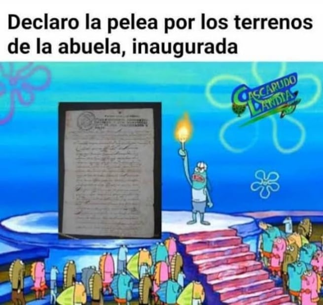 ¿Cómo les fue con los terrenos? Te dejamos los mejores memes